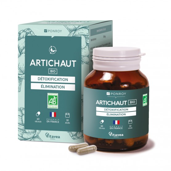 Artichaut bio